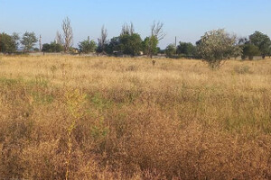 Продается земельный участок 10 соток в селе Широкино