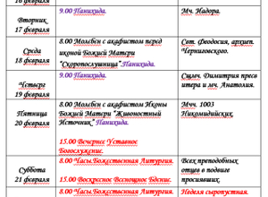 Расписание богослужений | С 16 по 22 февраля | Собор Архистратига Михаила