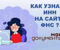 Как узнать ИНН на сайте ФНС? Инструкция для жителей Мариуполя