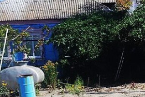 Продается дом с. Белосарайская Коса