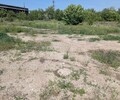 Сдается участок