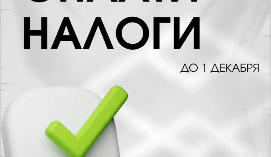 До 1 декабря оплатите имущественные налоги!