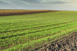 Продается земельный участок