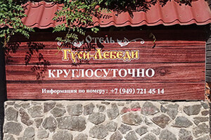 Отель Гуси - Лебеди на пр. Металлургов