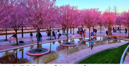 Краснодар парк Галицкого из Мариуполя