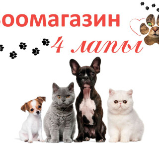 Зоомагазин «4 ЛАПЫ» на пр. Строителей , 60(рынок «Застава»)