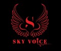 Караоке-Диско-Бар «Sky Voice» на пр. Строителей