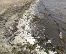 В Аренду предлагается просторная 1-комнатная квартира. 2 этаж.