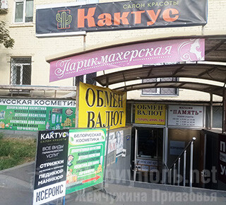 Салон красоты КАКТУС на пр. Металлургов