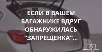Если в багажнике вашего авто вдруг обнаружилась запрещенка...