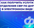 Как получить услуги отделения СФР по ДНР в электронном виде?