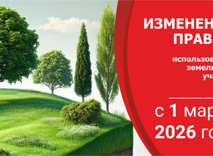 Главные изменения в законодательстве о земельных участках с 1 марта 2026 года