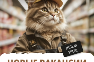 Обработчик рыбы