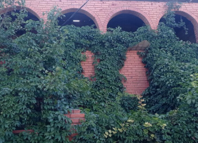 Продается просторный дом с бассейном на Левом берегу