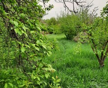 Продам дом с земельным приусадебным участком в пгт. Старый Крым (5 км от г.Мариуполя).
