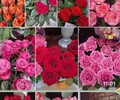 Магазин цветов Цветочная фея на пр. Ленина
