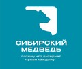 Интернет-провайдер в частный дом Сибирский Медведь