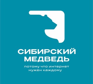 Интернет-провайдер в частный дом Сибирский Медведь