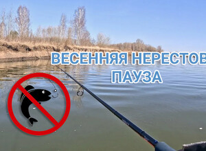 с 1 апреля в ДНР вводится запрет на любительский лов на внутренних водоемах.