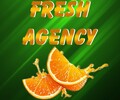 FRESH AGENCY на пр. Ленина