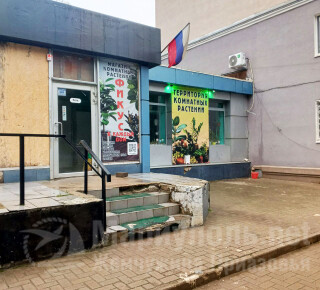 Магазин ФИКУС на пр. Победы