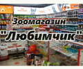Сеть зоомагазинов Наш Любимчик на пр. Строителей