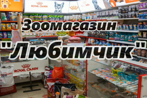 Сеть зоомагазинов Наш Любимчик на пр. Строителей
