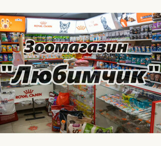 Сеть зоомагазинов Наш Любимчик на пр. Строителей