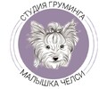 Студия груминга «МАЛЫШКА ЧЕЛСИ» на пр. Строителей