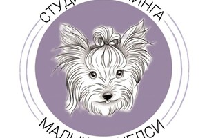 Студия груминга «МАЛЫШКА ЧЕЛСИ» на пр. Строителей