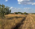 Продается участок