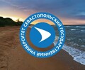 Азовский морской институт (Мариупольский филиал ФГАОУ ВО «СевГУ» в ДНР)