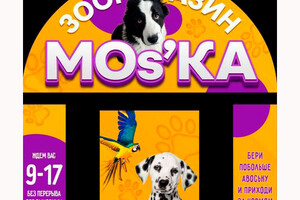 Зоомагазин MOs'KA на пл. Победы