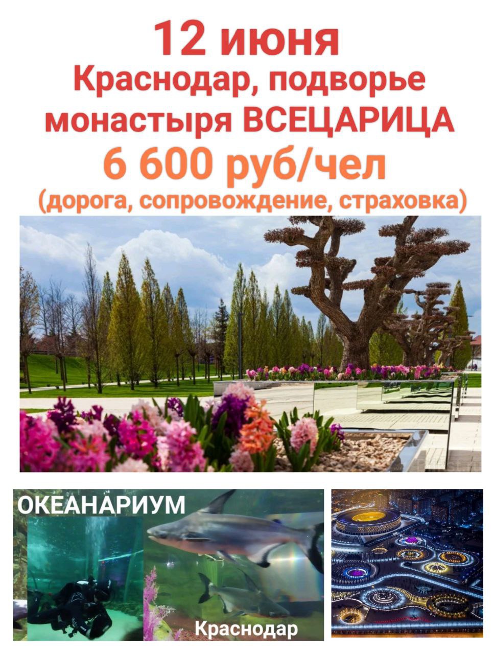 Краснодар из Мариуполя