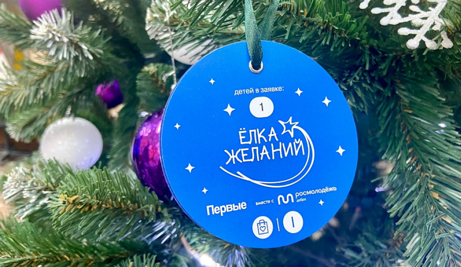 Дети ДНР могут поучаствовать в акции «Елка желаний»