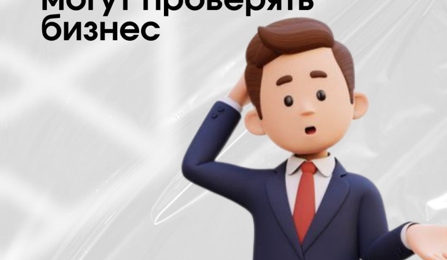 Сколько и какие органы могут проверять бизнес?